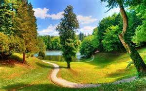 Definitions of tress