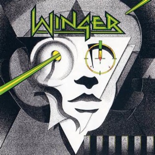 definizzjoni ta winger