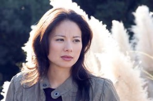 Mõiste yip