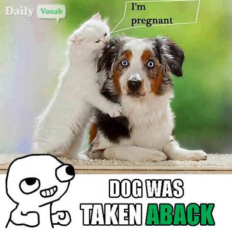 definisyon nan aback