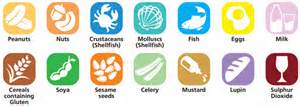 definisyon nan allergens