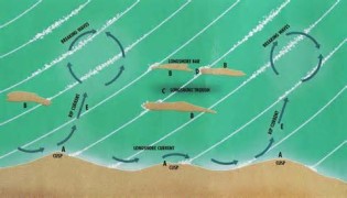 Definice alongshore