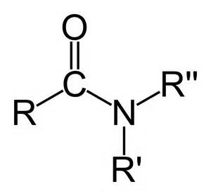 Definition von amides