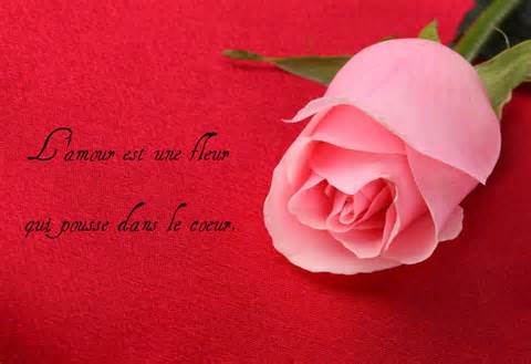 definisyon nan amour