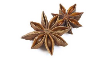 Definitions of anise