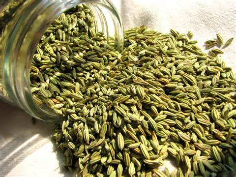 Definice aniseed