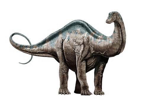 Definitions of apatosaurus