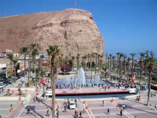 Definice arica
