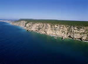 definizzjoni ta barbate