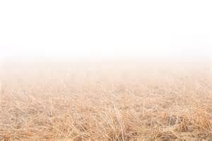 Definició de befogged