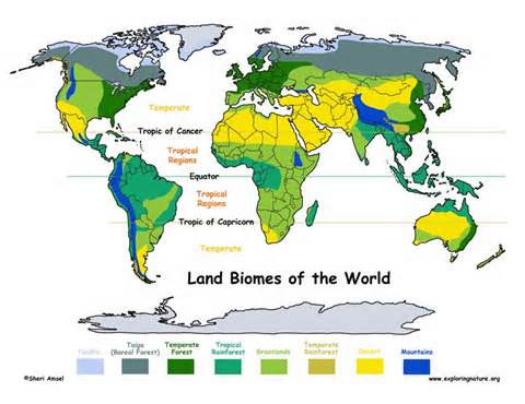 Definitions of biomes