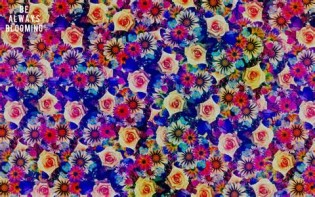 Definice blooming
