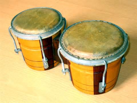 визначення bongo