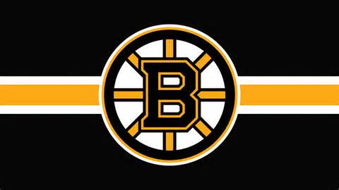 definisyon nan bruins