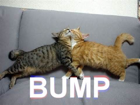diffiniad o bump