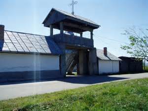 Definitions of carcea