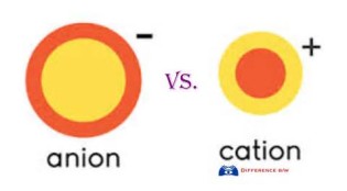 Definitions of cation