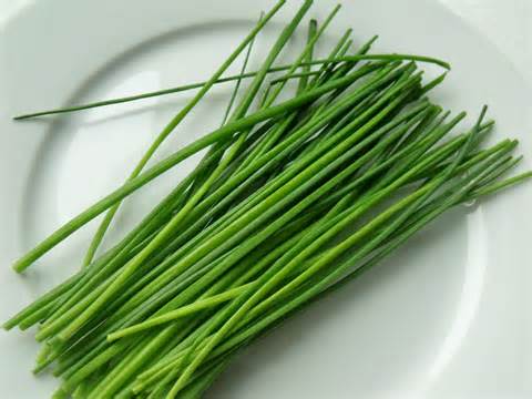 Definitions of chives