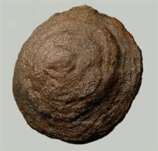 Definitions of concretion