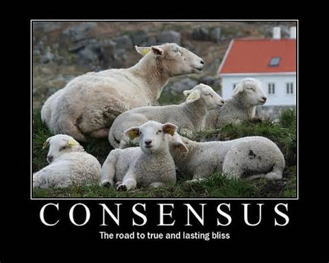 Definice consensus