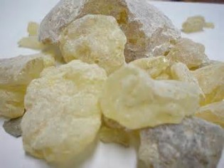 definisyon nan copal