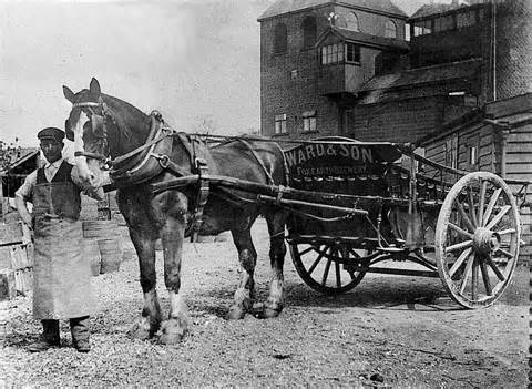 Definició de drayman