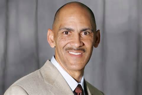 Definició de dungy