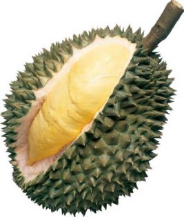 визначення durians