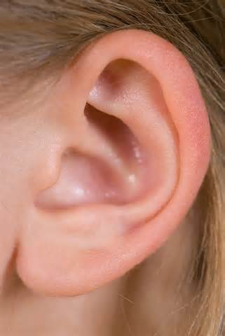 Definice ear
