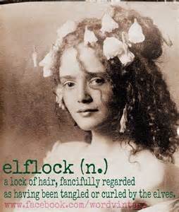 Definice elflock
