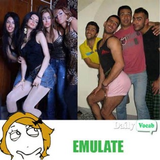 emulate 定義