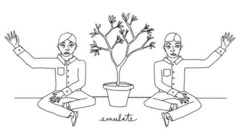 emulate 定義