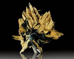 Definice epitaxic