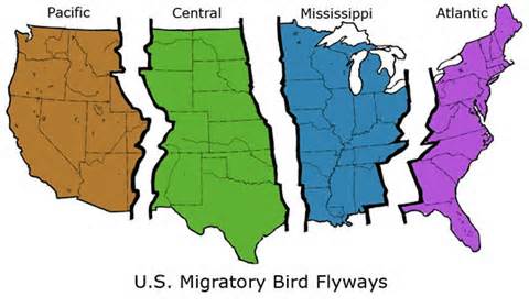 diffiniad o flyway