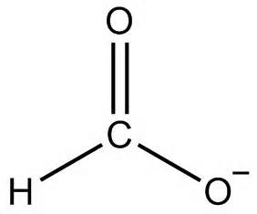 Definitions of formate