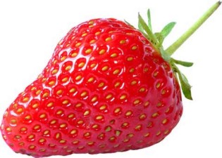 Definitions of fraise