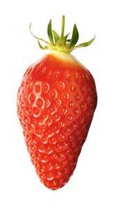 Definitions of fraise