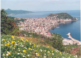 definizzjoni ta giresun