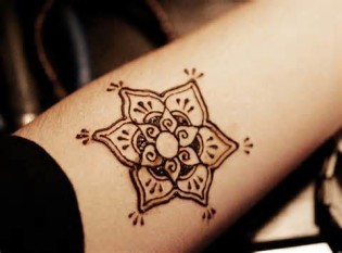 Definice hennas