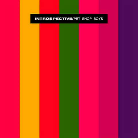 Definition von introspective