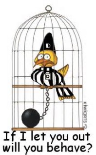 definisyon nan jailbird