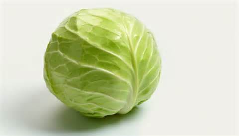 kraut 定義