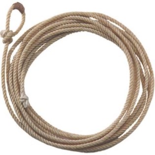 definícia lasso