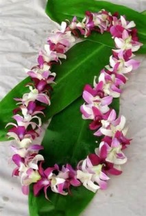 Definitions of lei