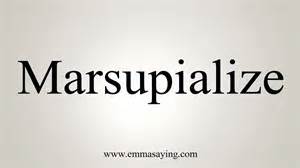 Definice marsupialize