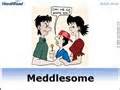 Definisi meddlesome