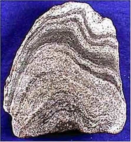 metamorphic کی تعریف