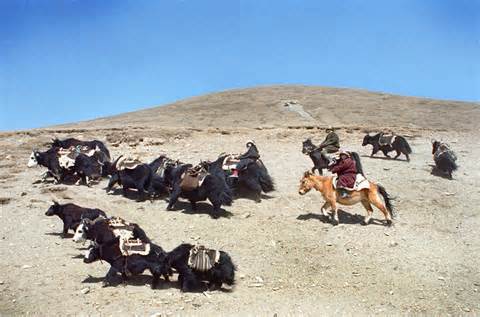 Meghatározása nomadism