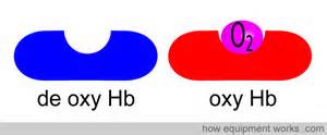 oxygenated परिभाषा