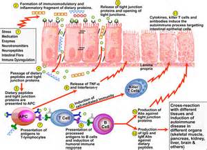 pathogenesis परिभाषा
